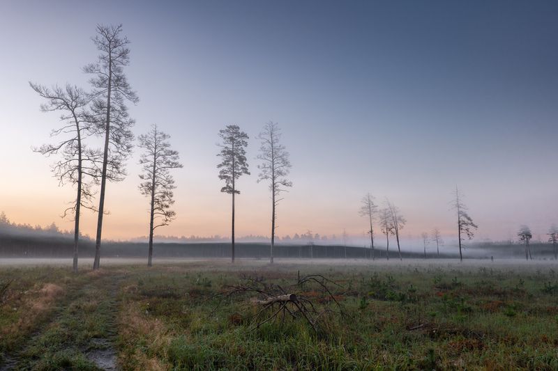 На рассветеphoto preview