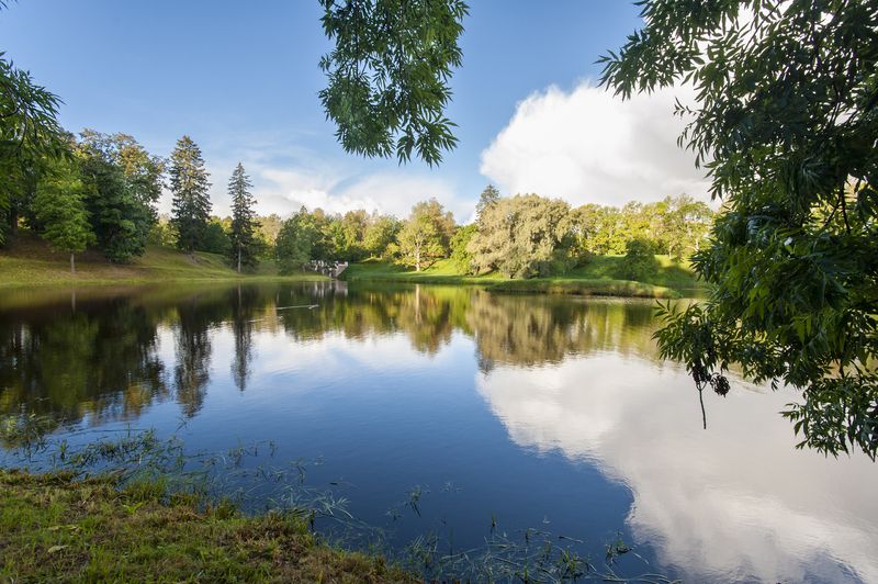 Утроphoto preview