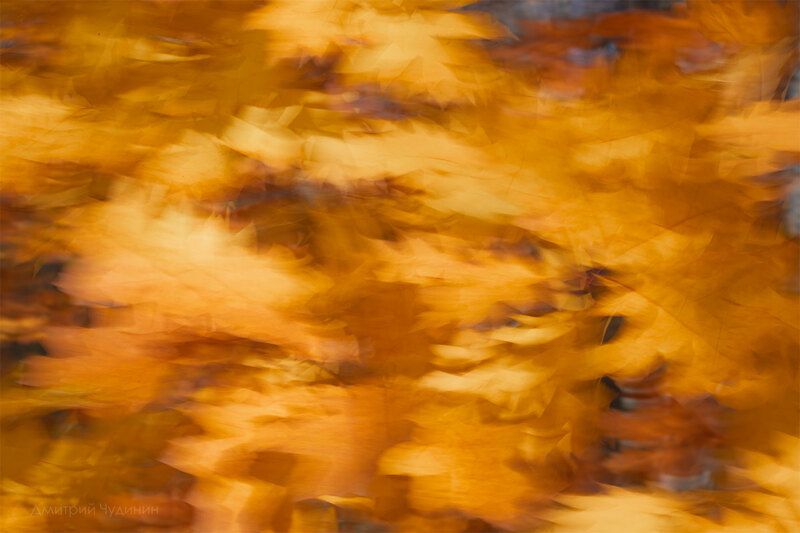 Листопад фото превью