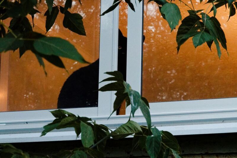 Камера наблюденияphoto preview