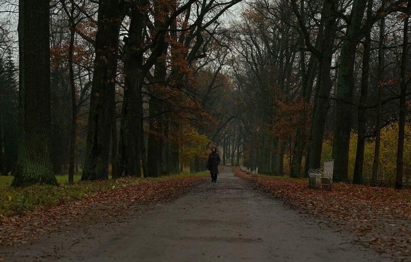 The first morning in Novemberphoto preview