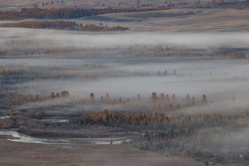 алтай, горный алтай, курай, курайская степь, рассвет, туман, степь Под покрывалом тумана фото превью