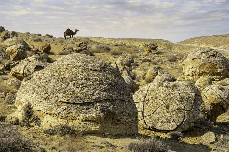 Казахстан, полуостров Мангышлак, Мангыстау, Актау, урочище Торыш, Долина шаров, верблюд,  Каменные щары и верблюдphoto preview