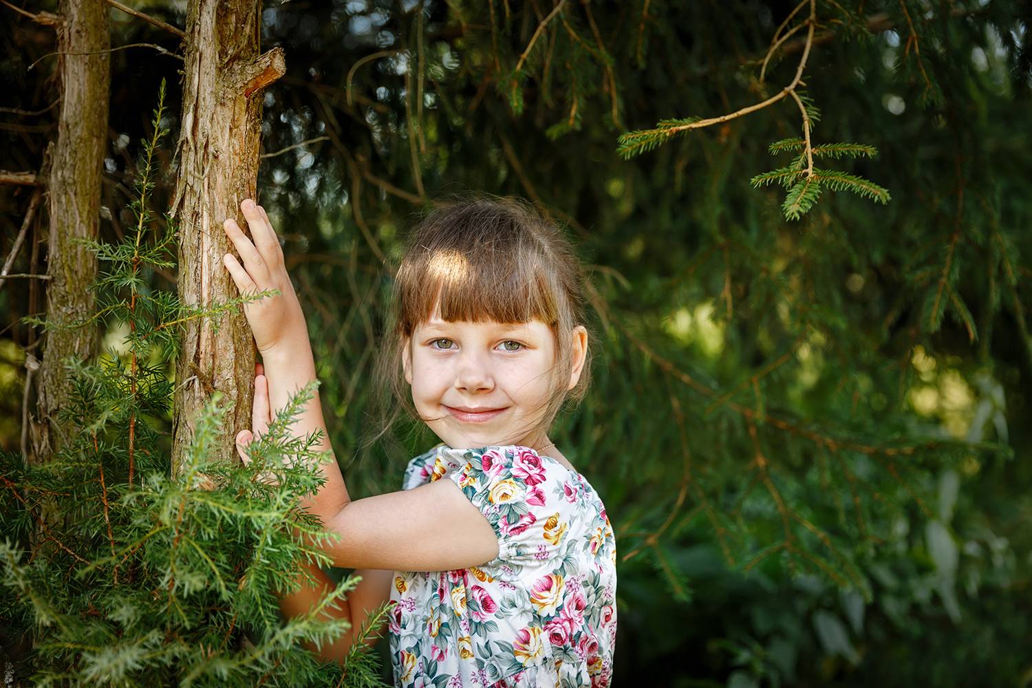 Девочка в хвойном лесу. Автор: Шурчков Юрий , Шурчков Юрий