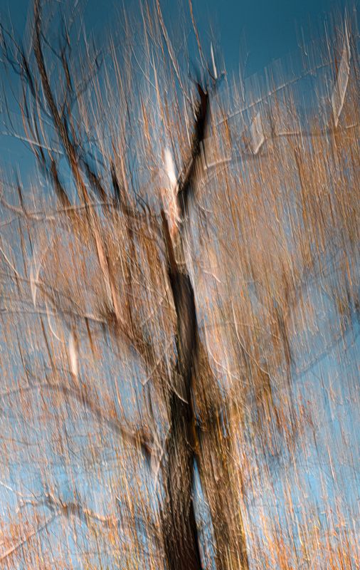 осень, природа, icm Фениксphoto preview