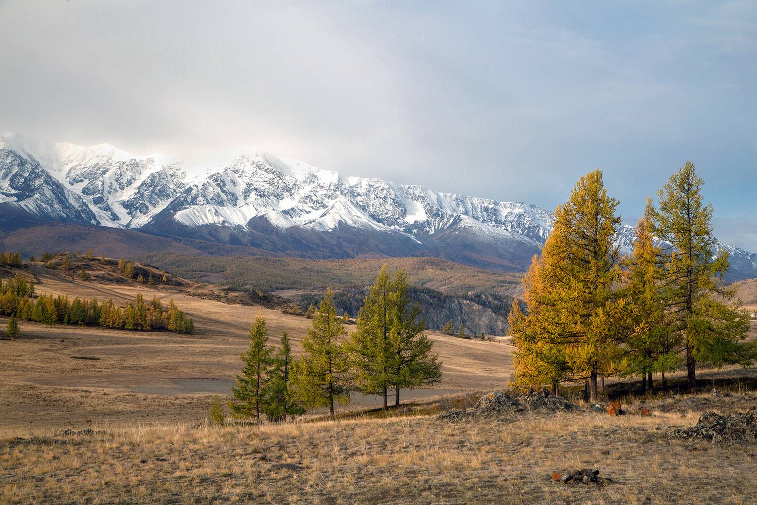 , Евгений Зинов