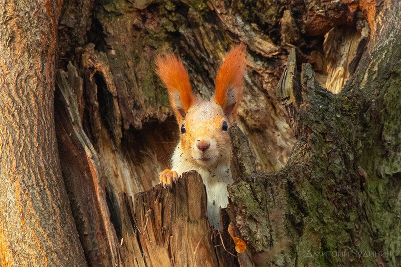 Утро выходного дня фото превью