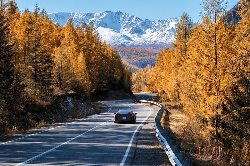 Без цели, без планаphoto preview