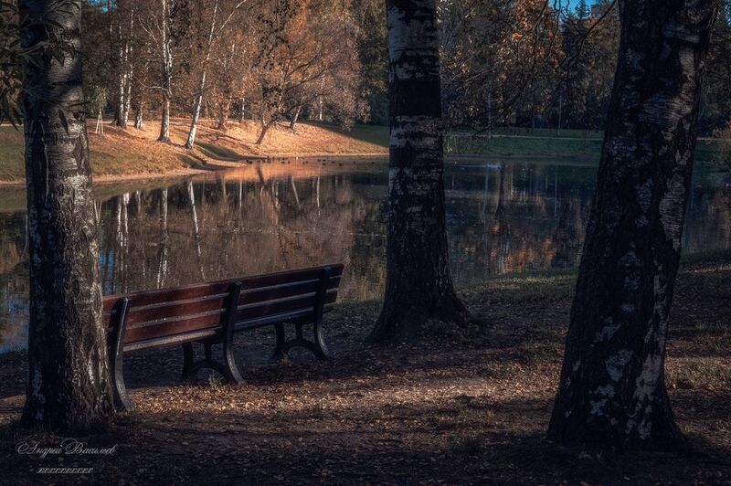 осень, осенний пейзаж, парки photo preview