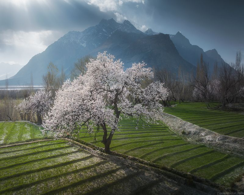 Pakistanphoto preview