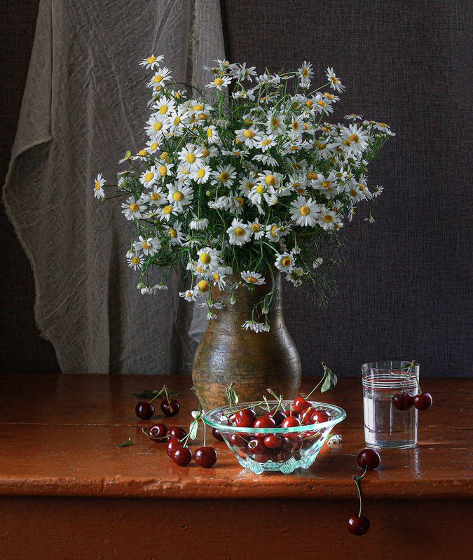 св1 фото превью