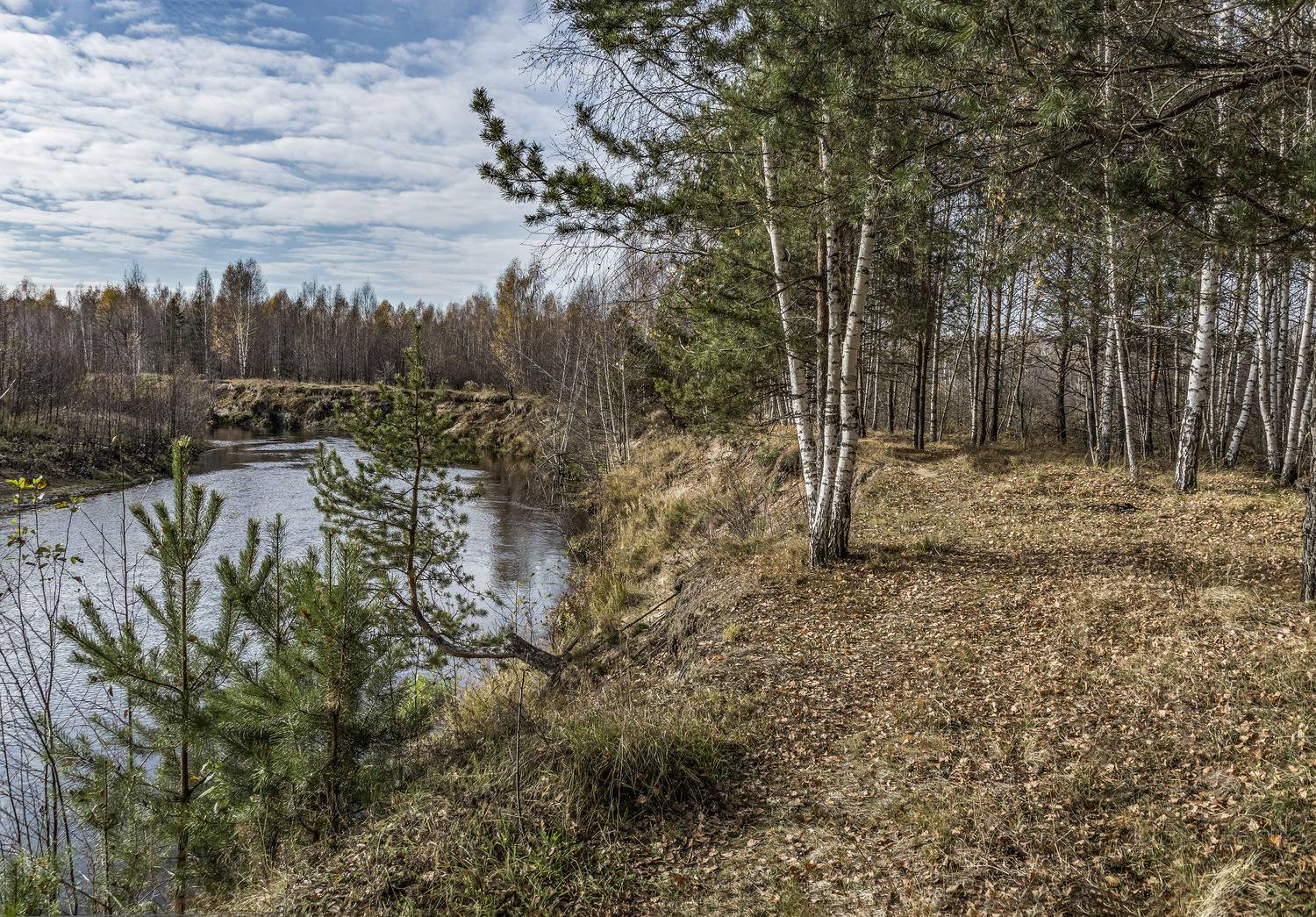 , Шитов Александр