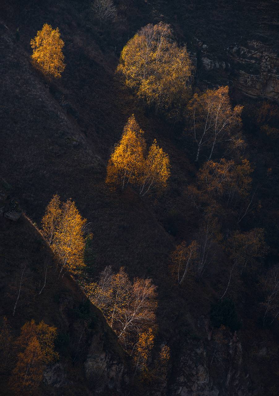 , Хасан Журтов