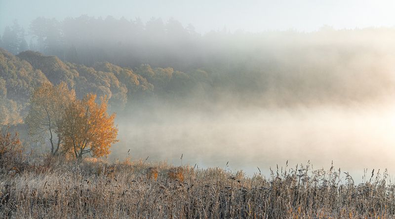 Осенний туман.photo preview