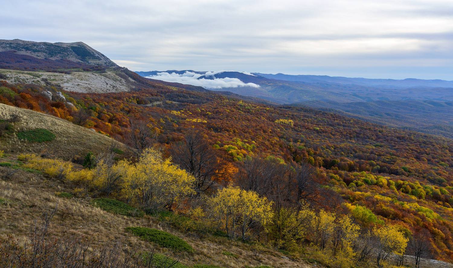 , Гусаченко Андрей