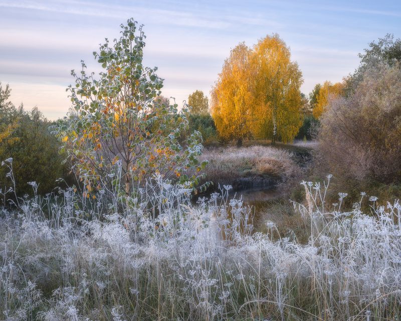 Морозное украшение осеннего утраphoto preview