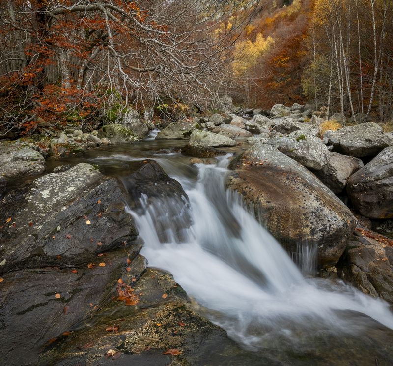 photography, mountain, autumn, flower, landscape, photo, awakening, flowers, land, landmark, lands, dramatic ligth, ligth, mountains Hayedo sin finphoto preview