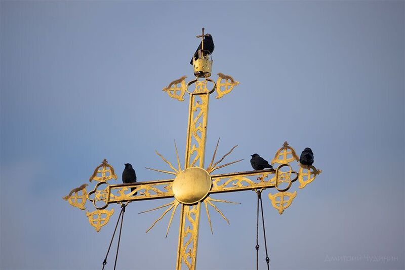 Исповедь фото превью