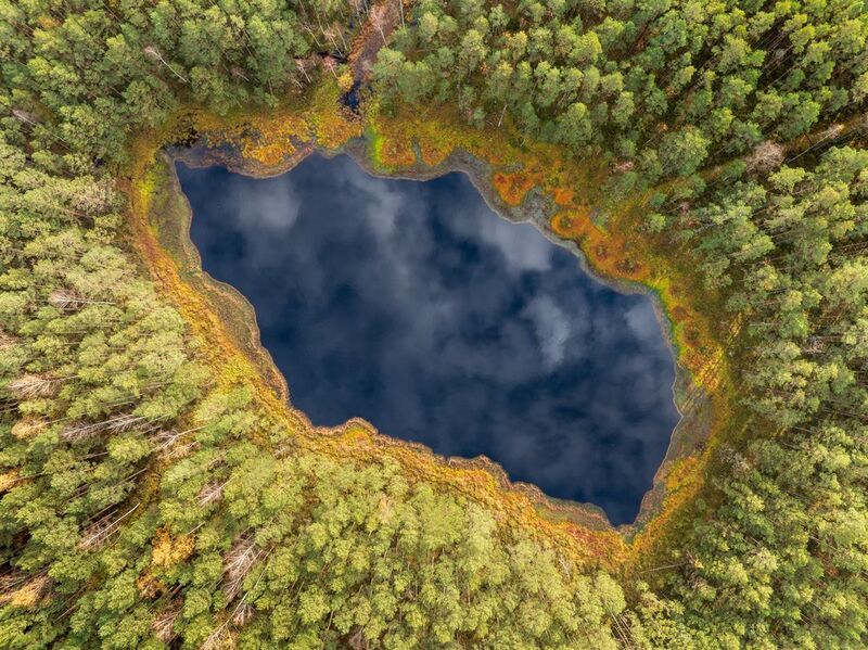 Лесное окоphoto preview