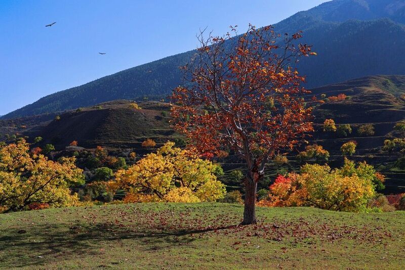 осень,горы,хунзахский район,гоцатлинские террасы,дагестан, Осенние зарисовки..photo preview