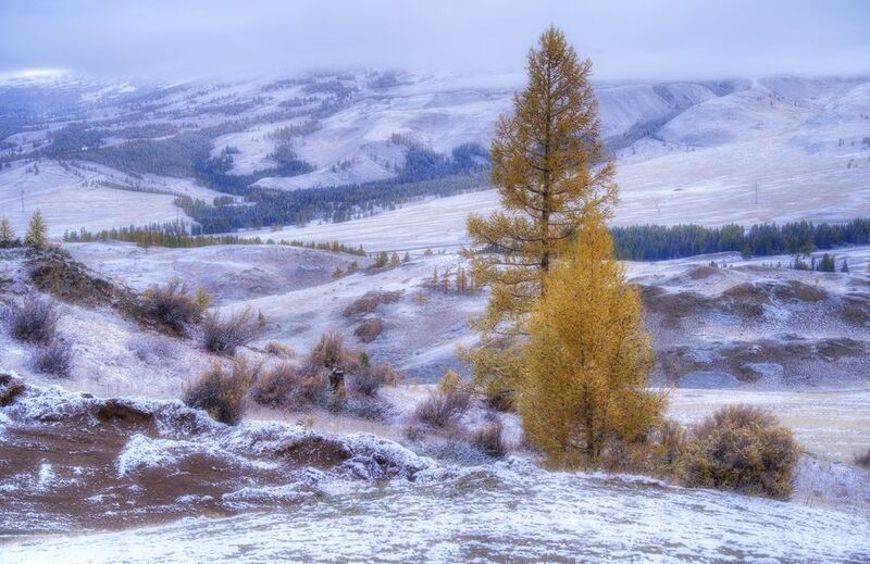 алтай горы лес утро пейзаж красивый снег иней Скоро зимаphoto preview