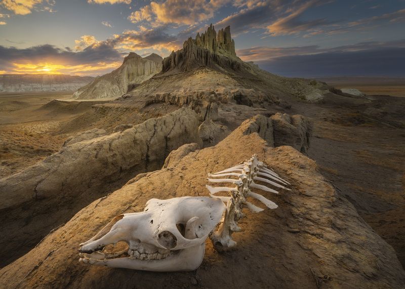 Айрактыphoto preview