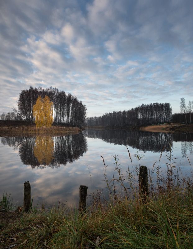 лес, свет, утро, природа ***photo preview