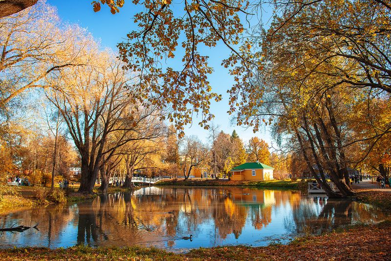 природа, осень, болдино Большое Болдино (часть 2)photo preview