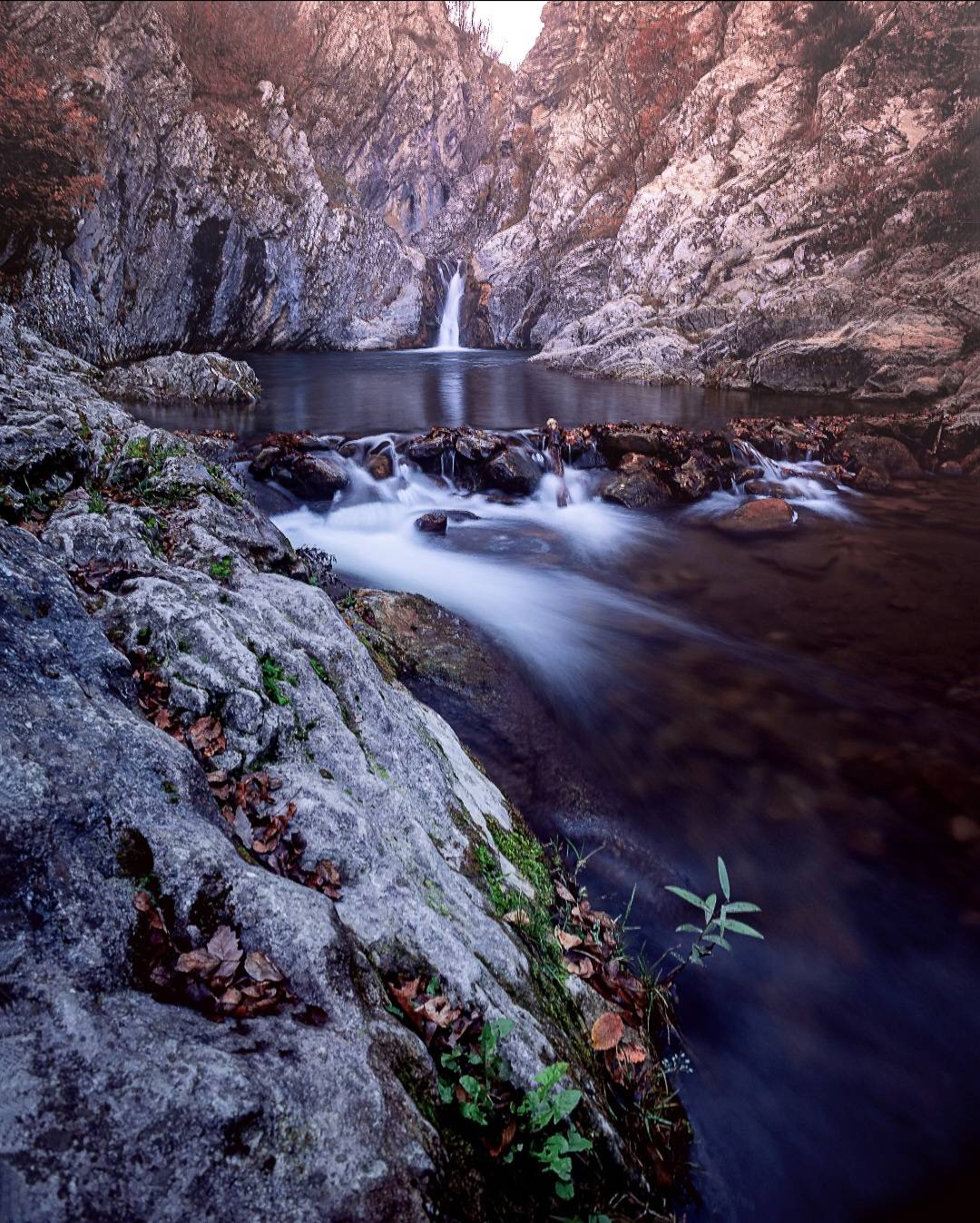 , Бобчева Веселина