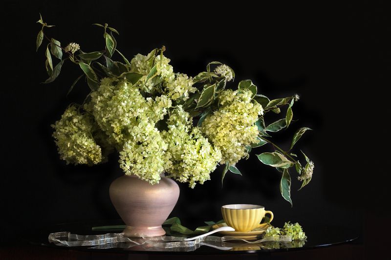 гортензия, дёрен Вечерний чайphoto preview