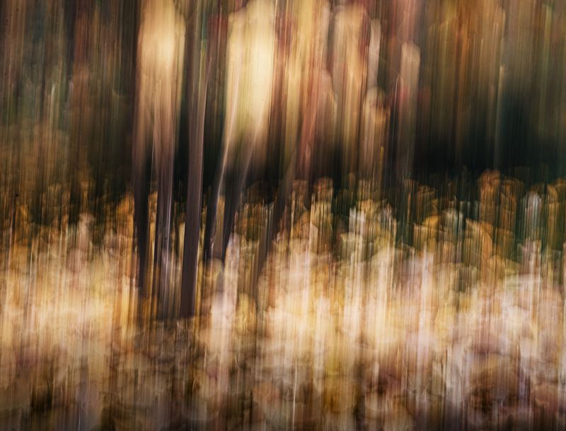 icm На солнечной поляночкеphoto preview