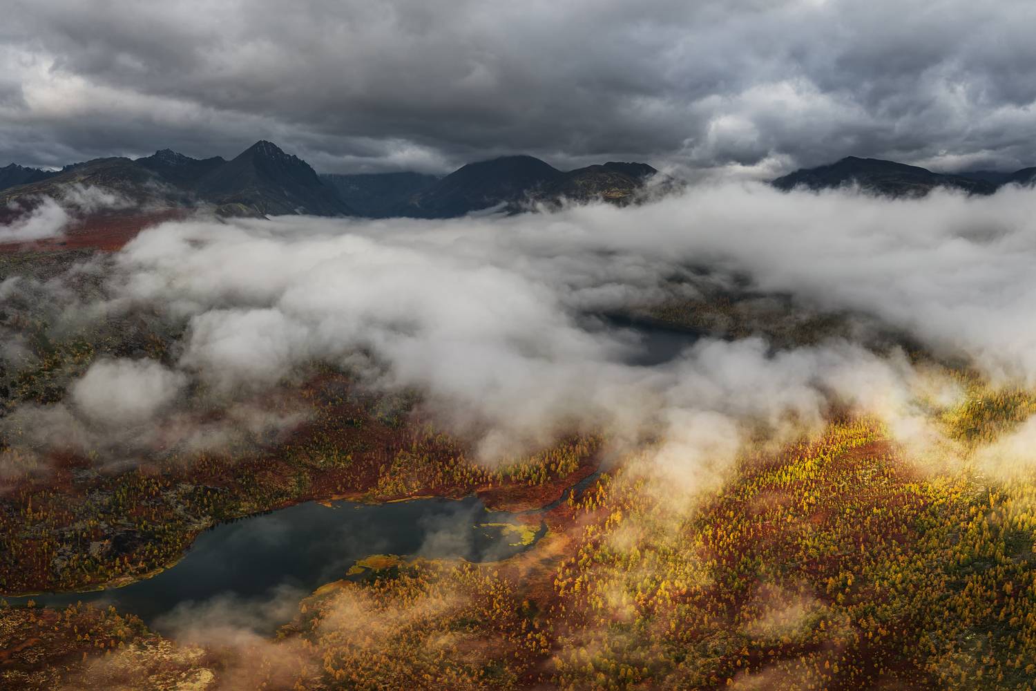озеро джека лондона, Евдокимов Максим
