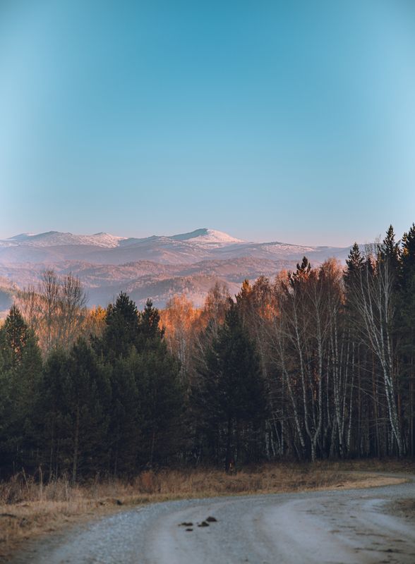 Горы, лес, дорога, осень,  Алтайский крайphoto preview