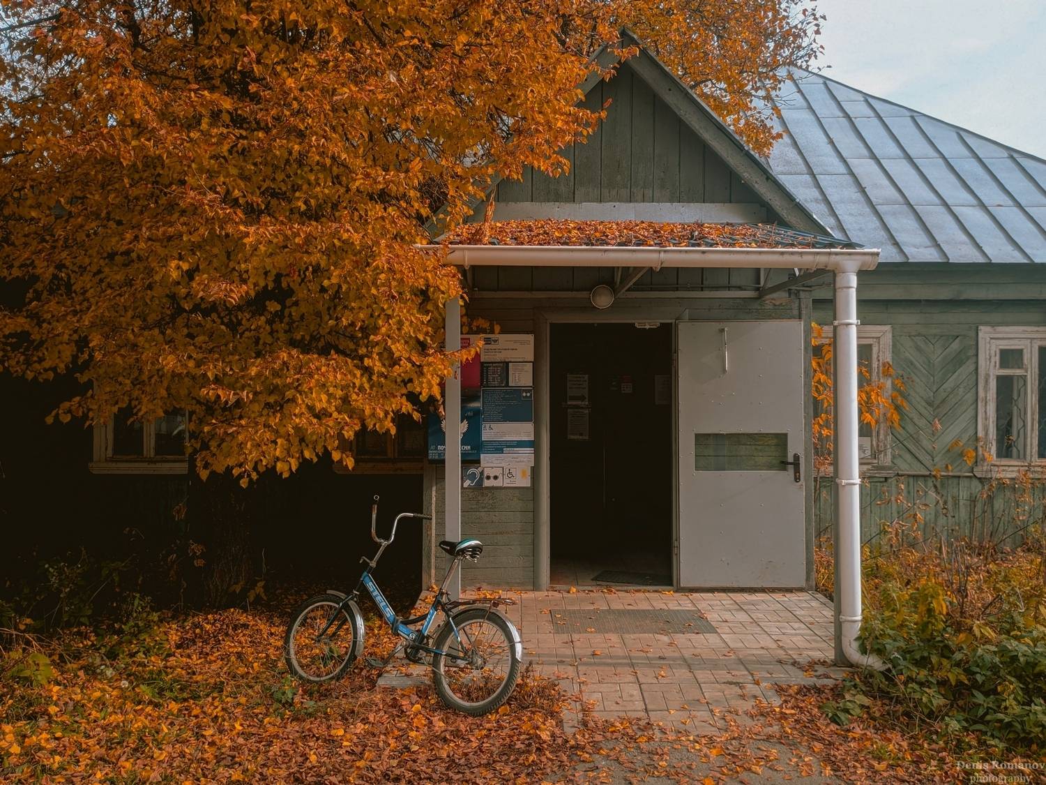 nature, природа, autumn, осень, Denis Romanov