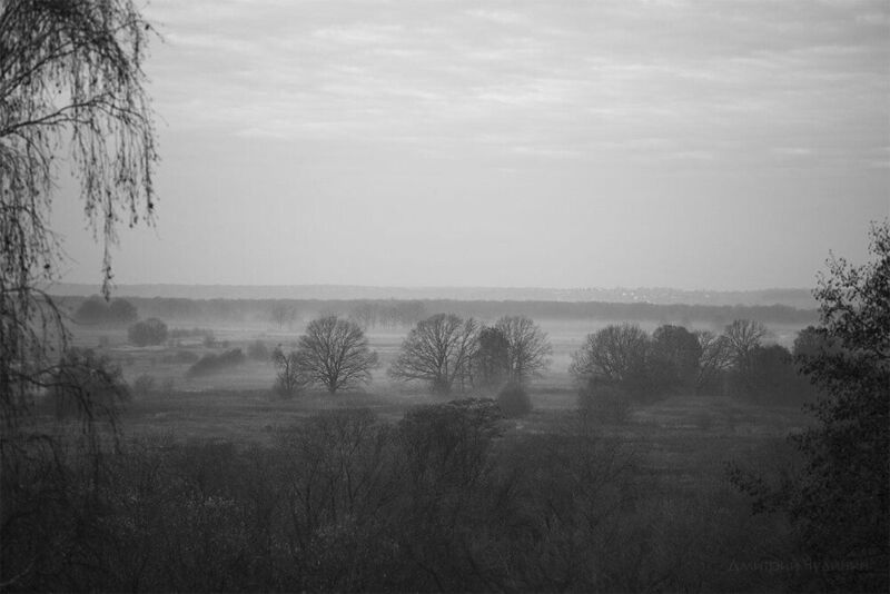 Туманный рассвет фото превью