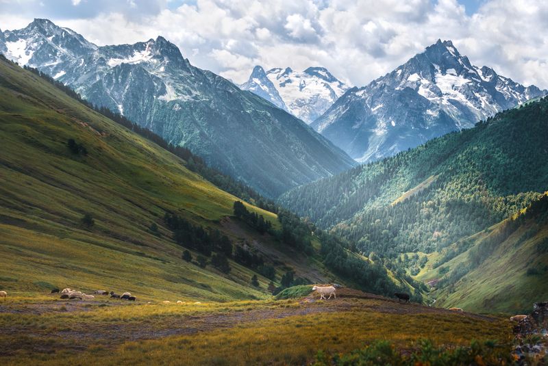 архыз, горы, природа, nikon, россия, кавказ Красавец Пшиш!photo preview