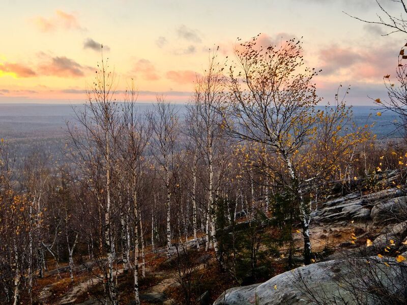 Последние листьяphoto preview