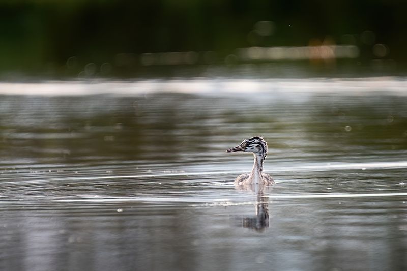 мир вокругphoto preview