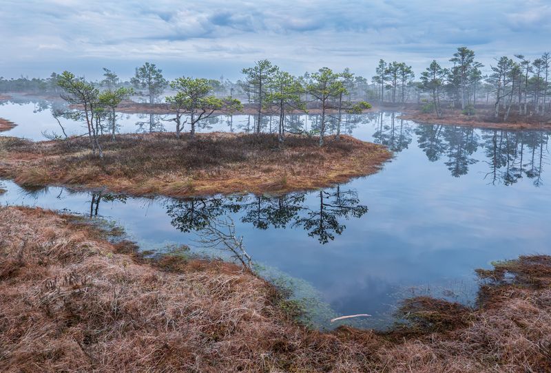 Хмурое утроphoto preview