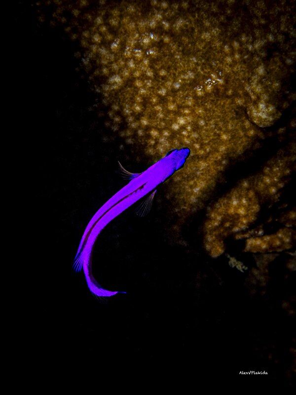 Exit night.. Enter Light!photo preview