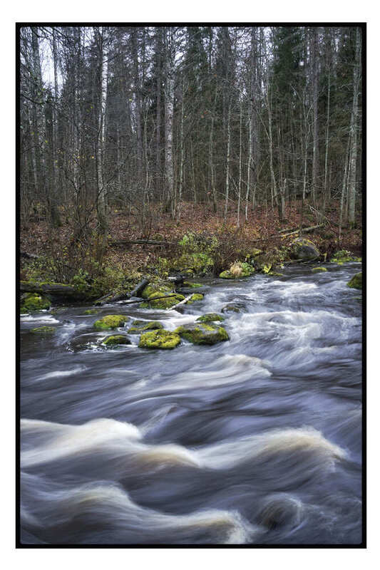 Рощинкаphoto preview