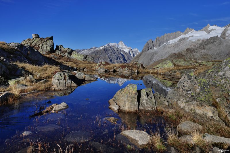 swiss Первый ледокphoto preview