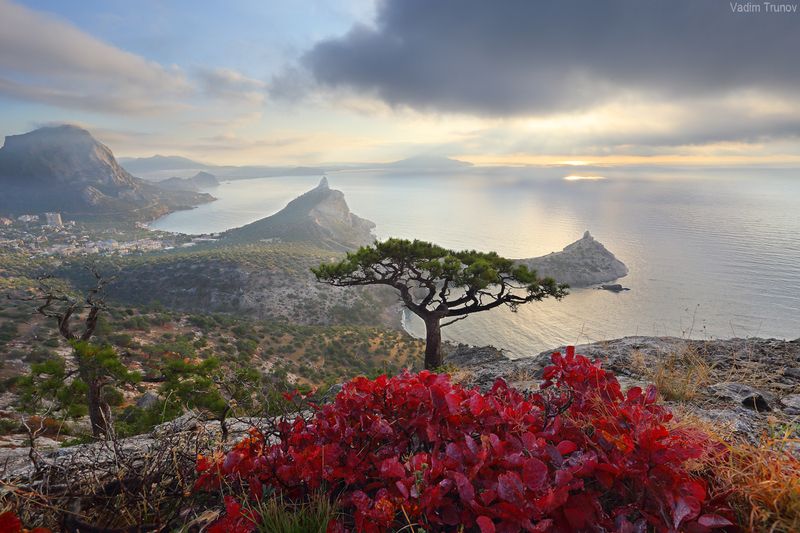 крым, новый свет, караул-оба Утро в Новом Свете фото превью