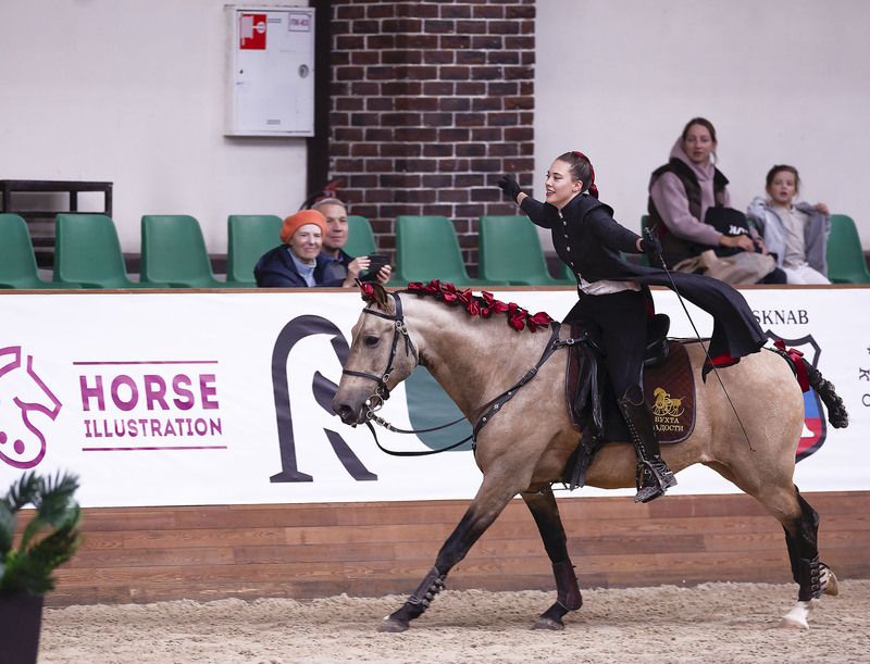 выступление, спорт,красота,horse , movement competition, sport Свобода в ритме галопа фото превью