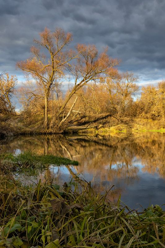 медведица, река, природа, саратовская область Ноябрь у реки..photo preview