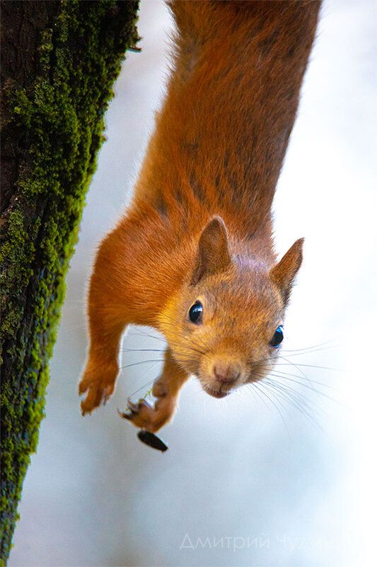 На расслабоне фото превью