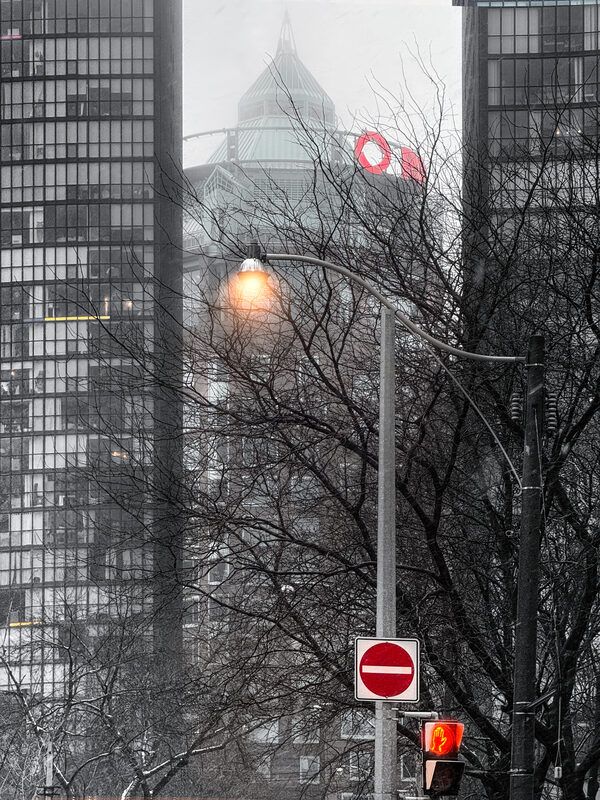 #Building #Sky #Skyscraper #Nature #Branch #Tower #Tree #Tower block #Window #Biome Rogersphoto preview