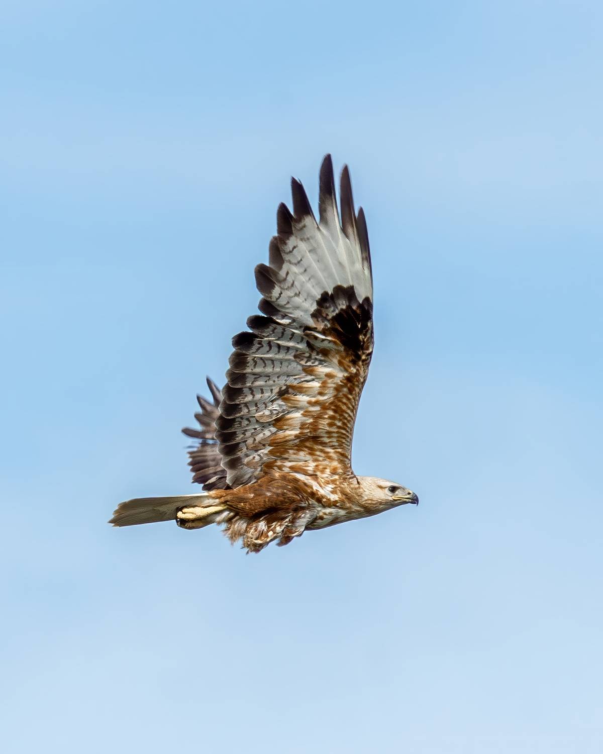 , Денис Туев