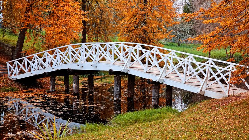 михайлвоское photo preview