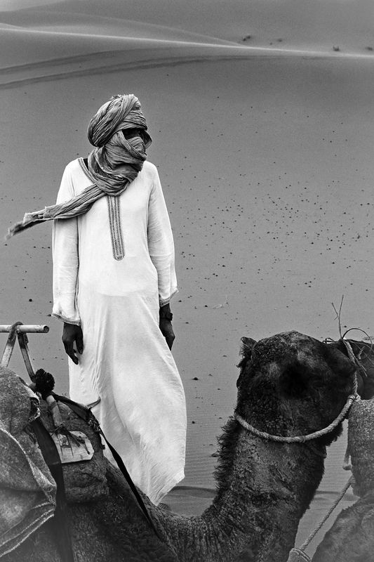 Караванщикphoto preview